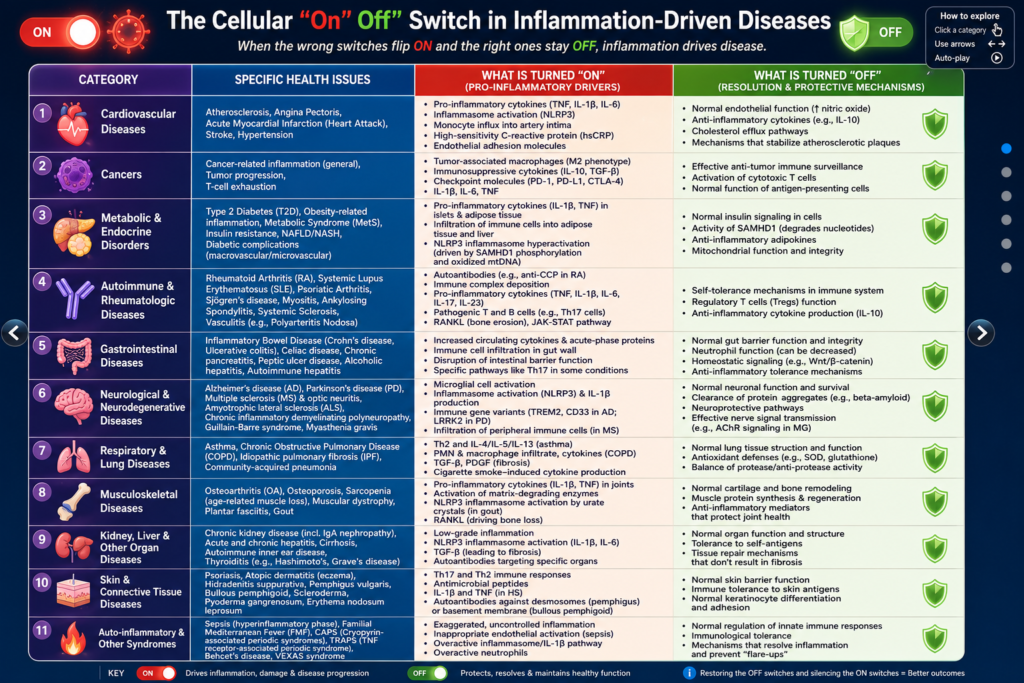 Anti-Inflammation Science behind Nutrition Miami Body Meals
Elmore McConnell